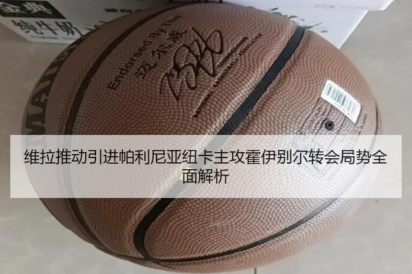 维拉推动引进帕利尼亚纽卡主攻霍伊别尔转会局势全面解析